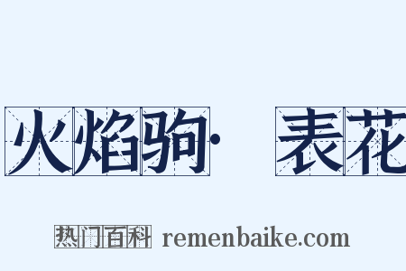 火焰驹·表花是什么意思的图片
